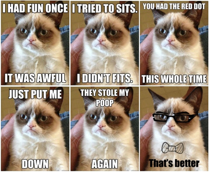 meme Grumpy Cat