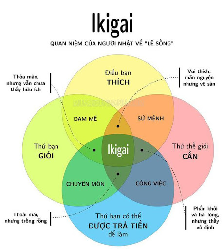 4 yếu tố tạo ra ikigai