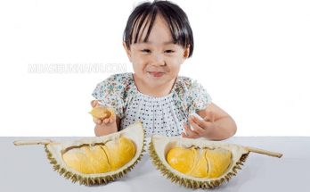 ăn sầu riêng có tốt không