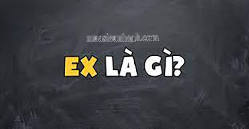 Ex là gì?