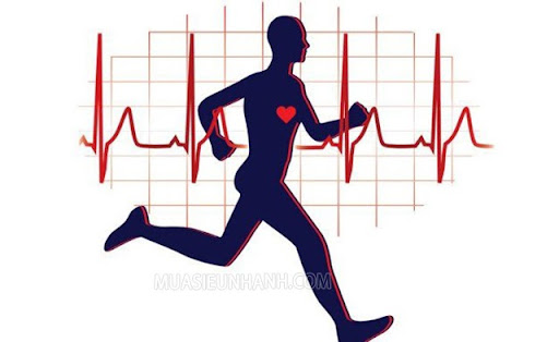 Những người có tiền sử huyết áp cao, tim mạch… thì không nên tập với máy