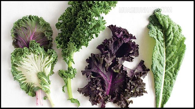 Rau cải xoăn kale là gì?