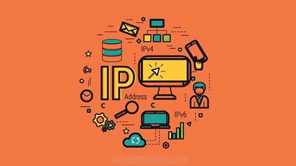 IP giúp các thiết bị kết nối Internet có thể giao tiếp với nhau