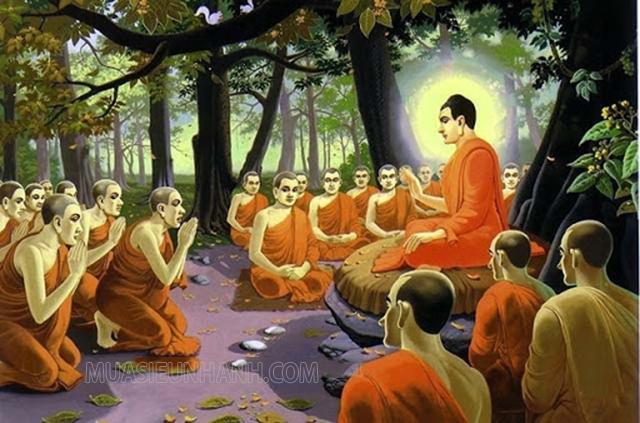 Nhân sinh quan là gì? Ý nghĩa nhân sinh quan trong Phật giáo