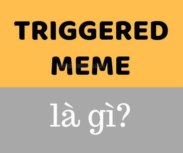 Ý nghĩa của trigger meme