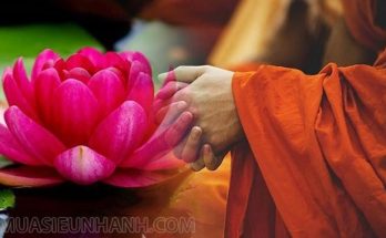  Hoa rơi cửa Phật nghĩa là gì?