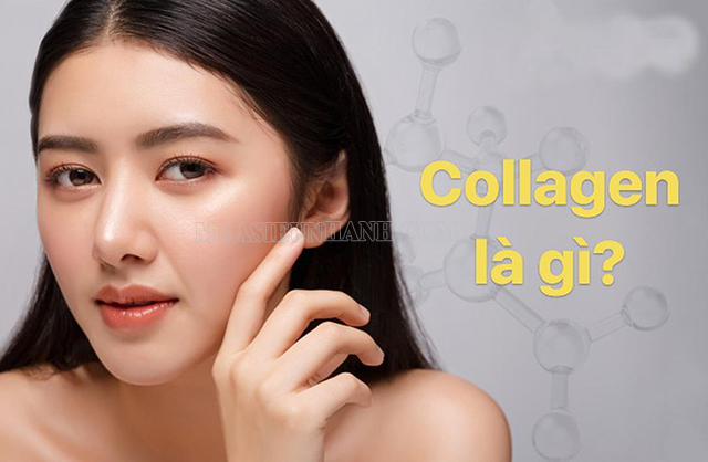Collagen là gì? 