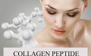 Collagen peptide được sử dụng nhiều trong mỹ phẩm