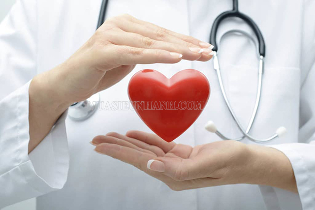Phòng ngừa các bệnh về tim mạch