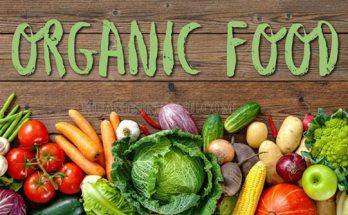 Sản phẩm organic là gì?