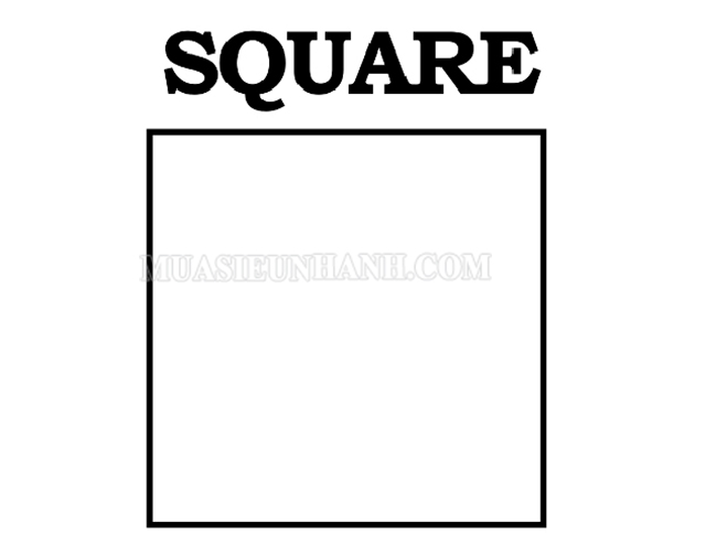 Squares nghĩa là gì?