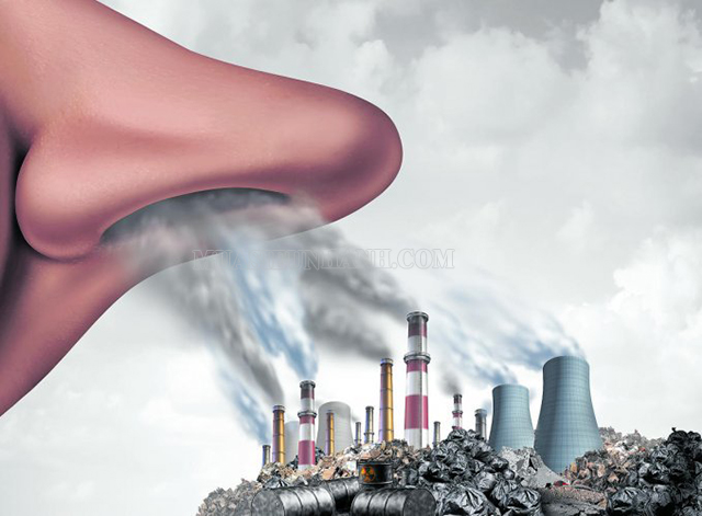 Ô nhiễm không khí khiến các bệnh về hô hấp nhiều hơn