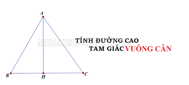 Đường cao trong tam giác vuông cân