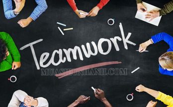 Kỹ năng teamwork là gì?