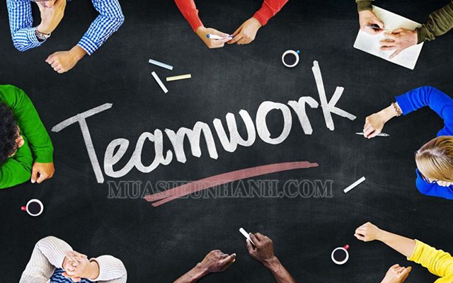 Kỹ năng teamwork là gì?