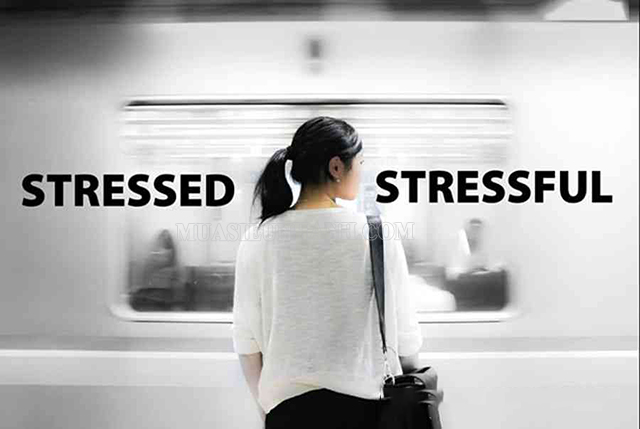 Phân biệt stressed và stressful