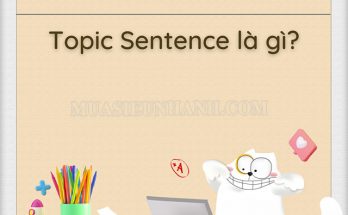 Topic Sentence là câu chủ đề của một đoạn văn