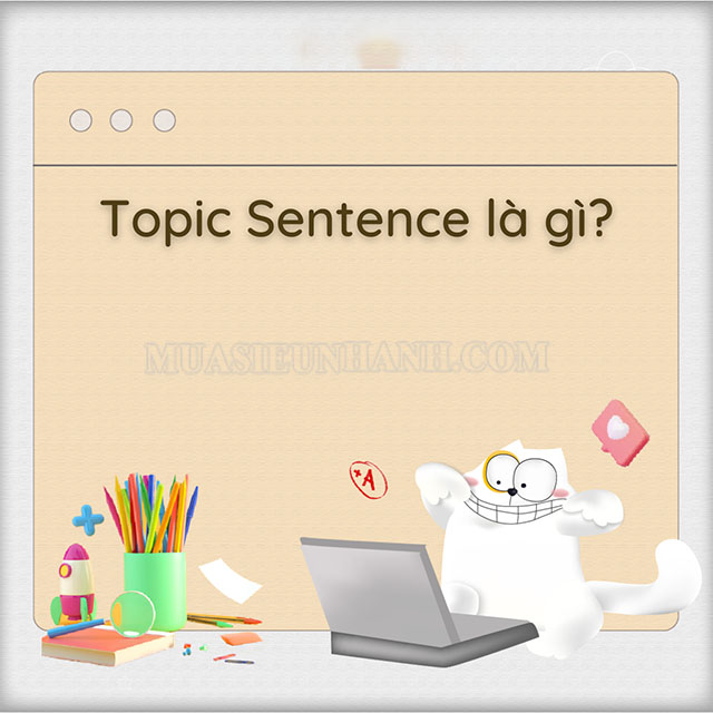 Topic Sentence là câu chủ đề của một đoạn văn