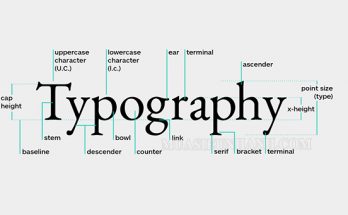 Typography là một trong những thuật ngữ được sử dụng phổ biến trong thiết kế